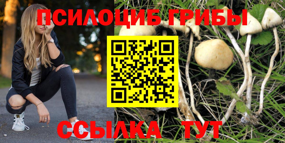 Псилоцибиновые грибы Psilocybe Алушта